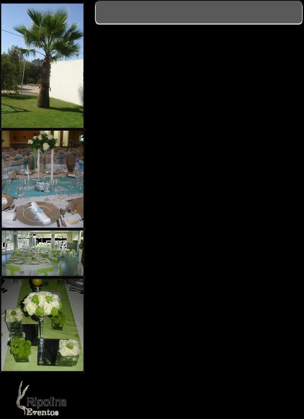 Baptizados Ementa Sol Buffet de Frios Entradas (Mesa Distinta) Pinhas de Camarão Sapateira Recheada Salada Waldorff Polvo ao Molho Verde Pinha de Morangos Ovinhos de