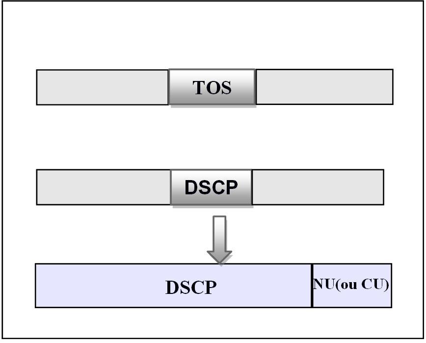 Flávio Oliveira, Jander Moreira serviços na internet (STATO FILHO 2009). Para tal, o uso do algoritmo HTB (Hierarchical Token Bucket) para tratar essas classes é uma opção útil e indicada.