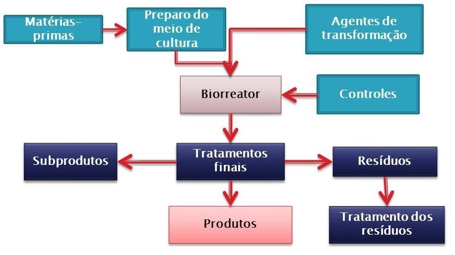 Processo