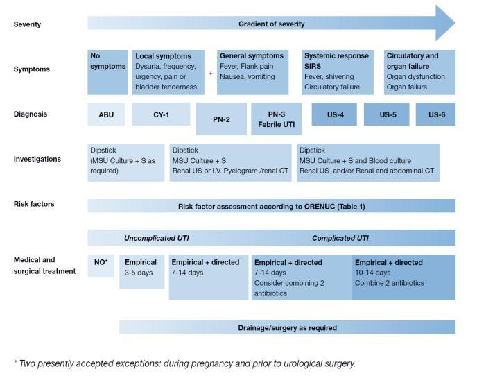 2 CLASSIFICAÇÃO Urological Infections - update march 2015 Pergunta São factores de risco