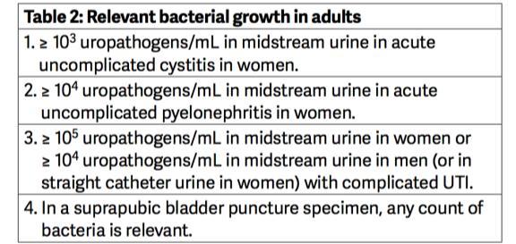 3 DEFINIÇÕES Bacteriúria - Presença de bactérias na urina - Pode ser indicador de colonização ou infecção, uma vez que o tracto urinário é estéril - Definição de bacteriúria depende do local da