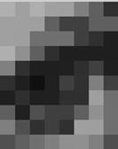 83 102 112 126 143 150 133 77 Figura 2.1: Representação de uma imagem (olho humano) sendo digitalizada com 8 bits por pixel. Repare que os valores estão entre 0 e 255 (variam de 21 a 171) [5].