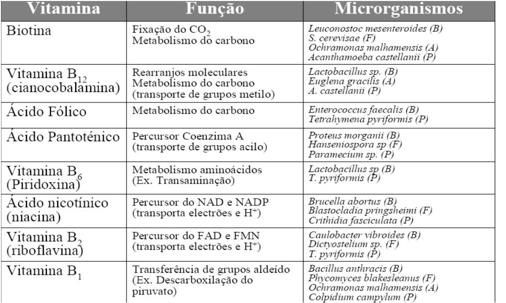 Fatores de crescimento Compostos orgânicos requeridos em pequenas quantidades e somente por algumas bactérias que não podem sintetizá-los. Muitos microrganismos são capazes de sintetizá-los.