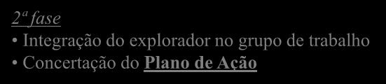 Proposta de Procedimento a Seguir Consensualizar um Plano de Ação para cada exploração de massa