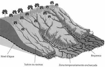 humana que segue no caminho contrário a essa solução é a) a aração. b) o terraceamento. c) o pousio. d) a drenagem. e) o desmatamento. TEIXEIRA. W. et al. (Orgs). Decifrando a Terra.