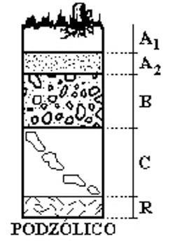 d) com o desmatamento, há aceleração do escoamento superficial e remoção dos horizontes superficiais dos solos. 31. (UECE-2013.