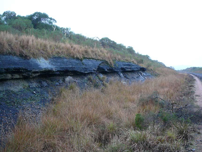 Figura 3. Afloramento da Camada Candiota da Formação Rio Bonito em corte da estrada de ferro em Candiota-RS.