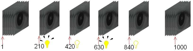 Baseado, etão, o Reflexo Cosesual, foi desevolvido um equipameto de aquisição da imagem da íris apresetado a figura.