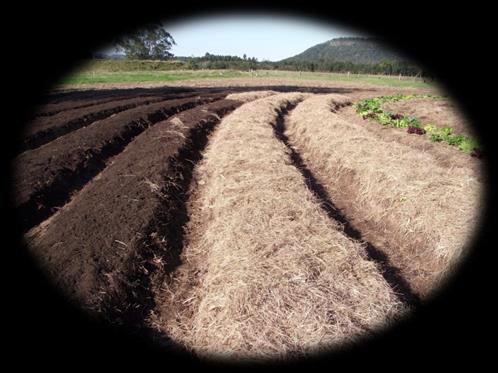 alimentação e material