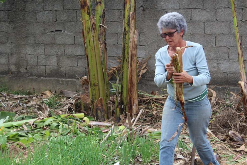 Horta Comunitária Frutos da União (Conjunto