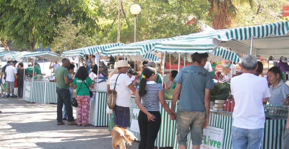 Feira Raízes do Campo