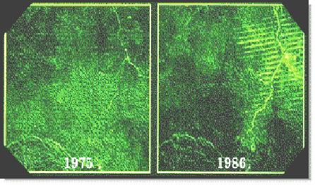 Desmatamento: 1986 A detecção de mudanças no tempo é um dos mais poderosos usos do Sensoriamento Remoto.