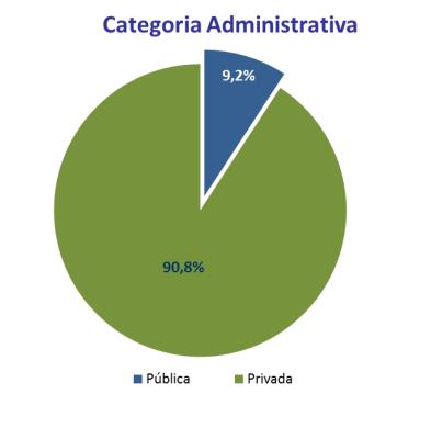 2015, o que já representa uma participação de 17,4% do total de matrículas da educação superior.