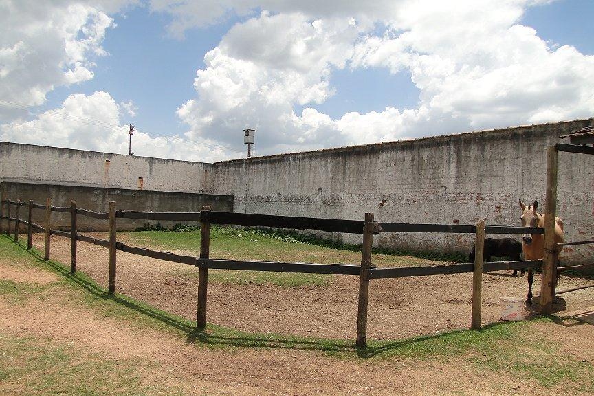 A parte interna conta com uma sala conjugada com a cozinha, dois quartos para receber os estagiários e um para veterinários que ficam de plantão acompanhando as atividades noturnas.