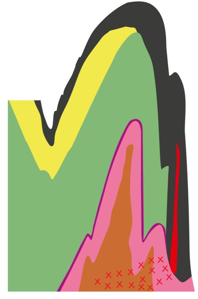 Caracterização petrográfica, mineralógica e geoquímica do padrão de alteração hidrotermal a muro das massas de sulfuretos