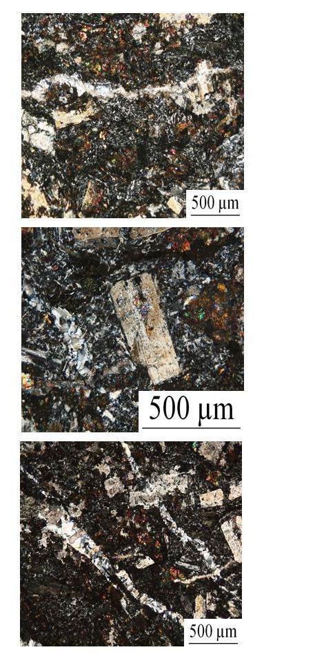 Caracterização petrográfica, mineralógica e geoquímica do padrão de alteração hidrotermal a muro das massas de sulfuretos