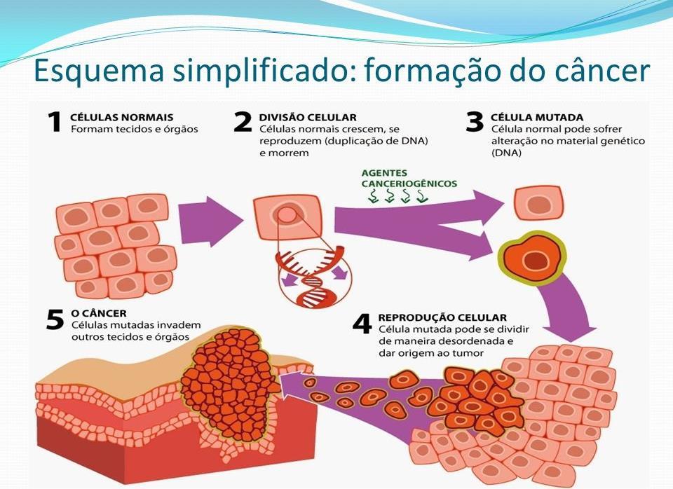 FORMAÇÃO DO TUMOR O TUMOR É ORIGINADO POR MULTIPLICAÇÕES DE