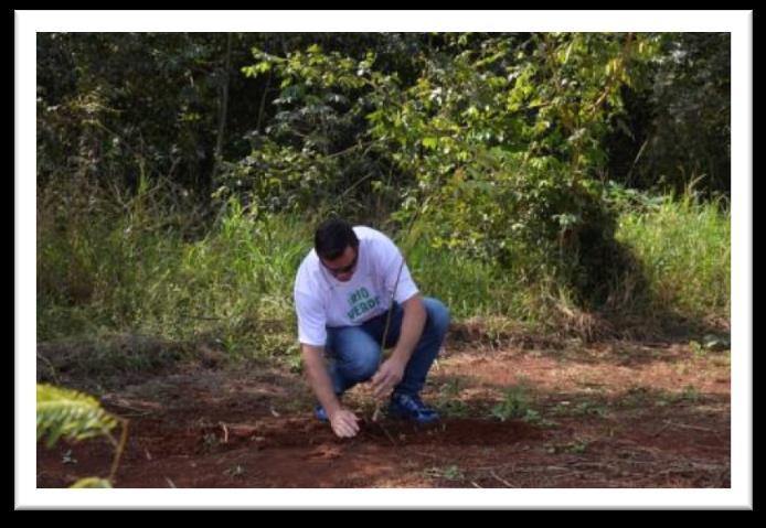 rallyzeiros fizeram o plantio