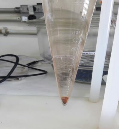 Figura 1: Concentração de sólidos sedimentáveis usando coagulante de Moringa Oleifera.