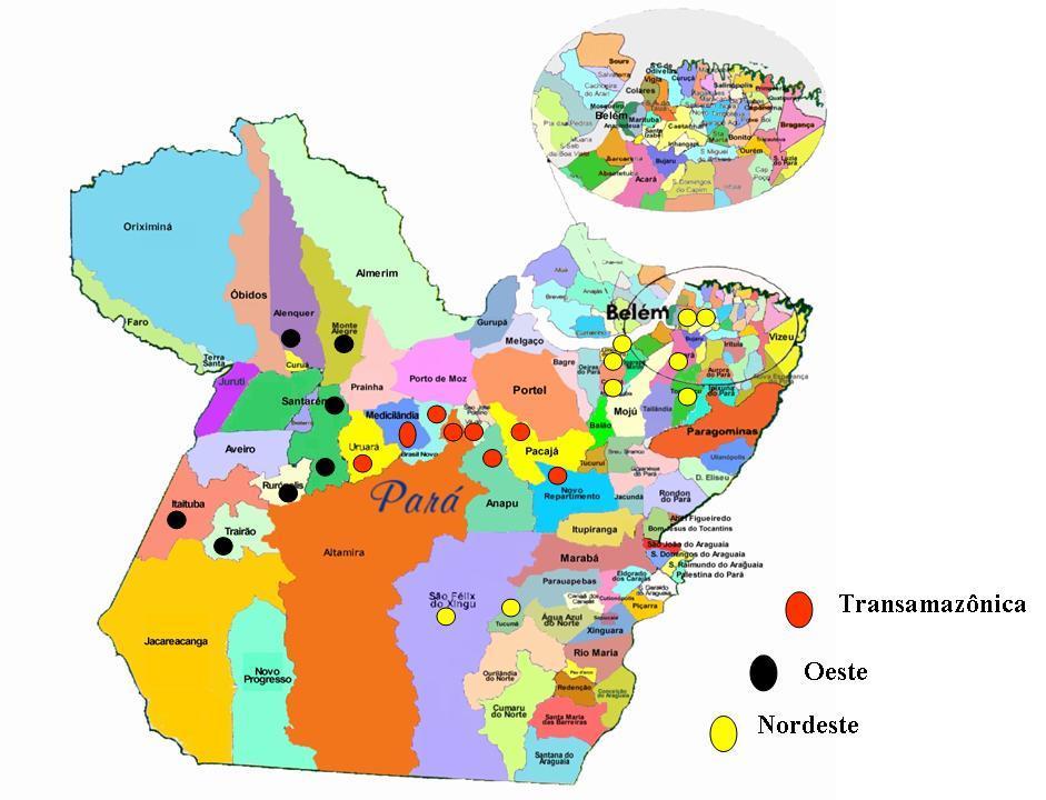 Área de atuação do PRODECACAU/PA Pacajá B. Novo Anapu V.