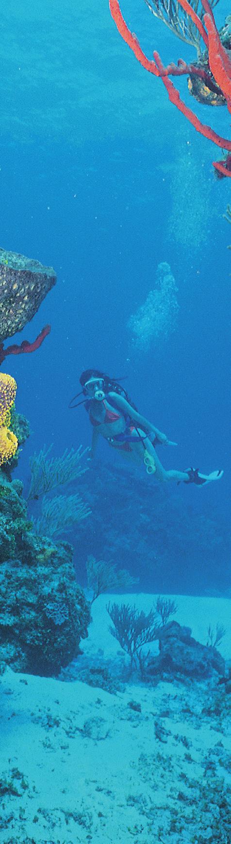 PERFIL DE ISLA MUJERES Famosa por suas praias de águas tranquilas. Lugar de parte da segunda maior barreira de corais do mundo.