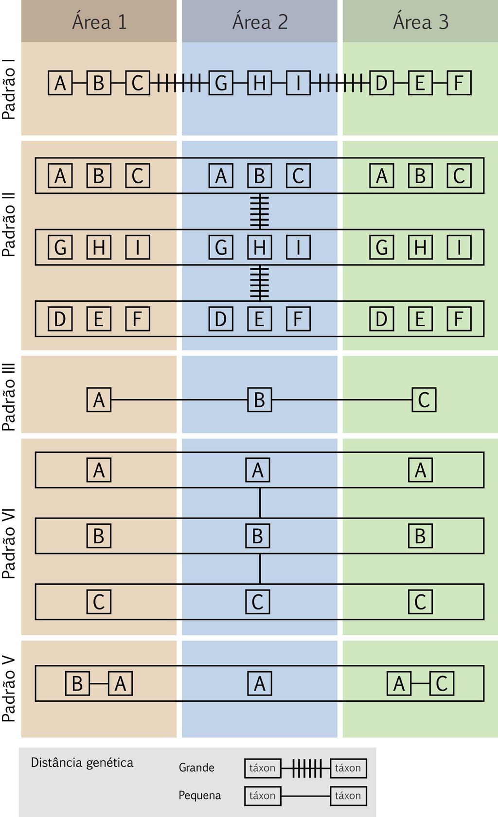 28 Martins & Domingues: Filogeografia lativamente recente, a divergência genética será baixa (padrão tipo III).