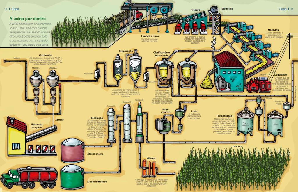 Valorização de subprodutos do processamento da Cana-de-açúcar Usina de Açúcar e Álcool: Produtos e