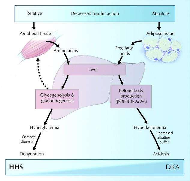 Cetoacidose diabética e estado hiperglicêmico