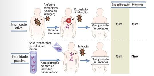 Imunidade contra Microrganismos Transferência de plasma ou linfócitos de um indivíduo