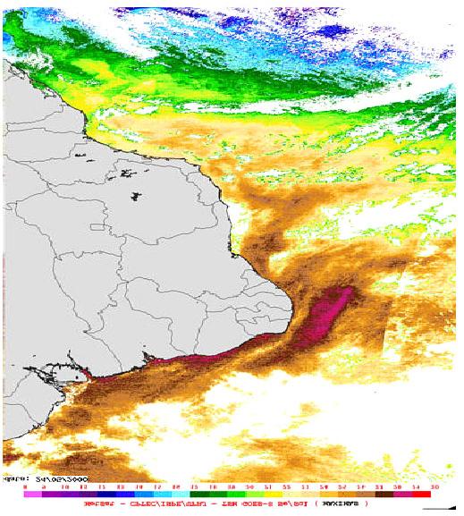 Figura 3. TSM GOES-8 para o período diurno do dia 24 de maio de 2000 7.