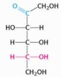 ENZIMAS GLICOSE ISOMERASE D-GLICOSE D-FRUTOSE C 6 H 12 O 6 C 6 H 12 O 6 Substrato = Glicose