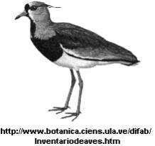 Exercícios de Taxonomia 1. O sistema de classificação taxionômica ainda hoje utilizado foi elaborado por Carl von Linné 101 anos antes de Charles Darwin publicar A Origem das Espécies.