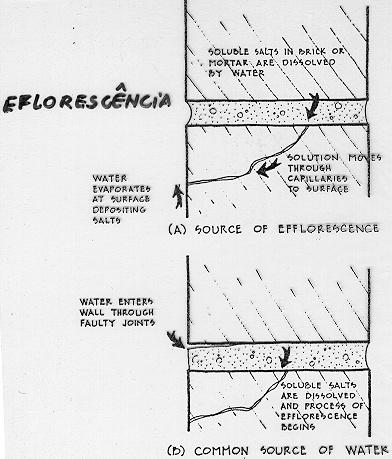 patologias Patologias