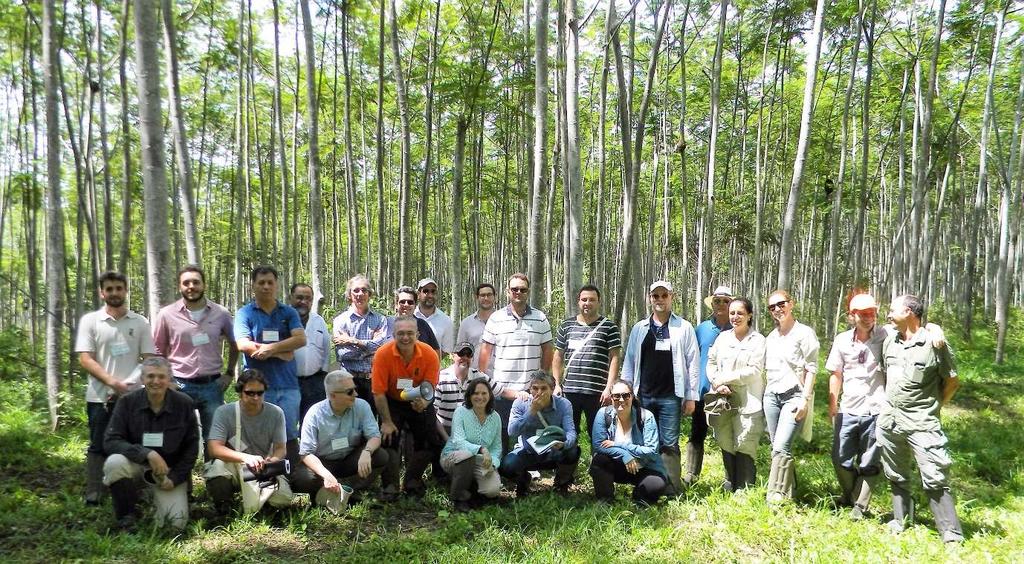 Objetivos do workshop Discussões sobre reflorestamento com espécies nativas para fins econômicos e para atrair capital para a agenda do reflorestamento em larga escala; União e integração de