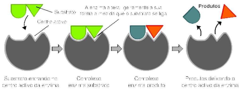 Mecanismo