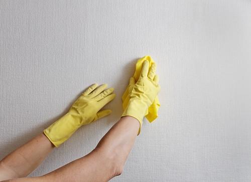 Paredes com Mofo Em casos de paredes com mofo antes de iniciar uma nova pintura é necessário higienizar a área, a partir de uma solução de água e cloro, em seguida limpar a
