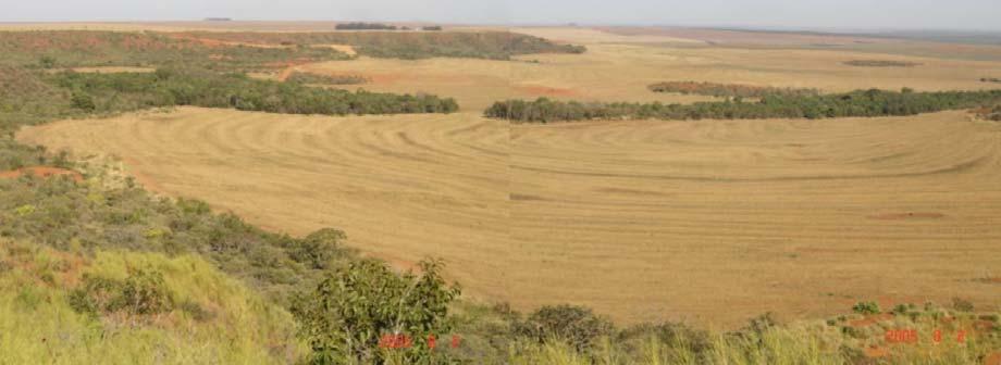 117 como o terraceamento para a contenção do fluxo superficial e a cobertura do solo vegetação de rápido crescimento e boa cobertura.