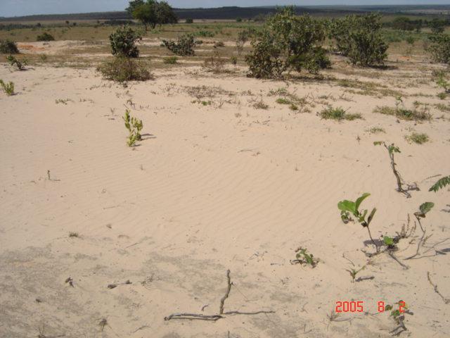 13 ocorre no Nordeste do país, declarada como desertificação (SUERTEGARAY, 2001).