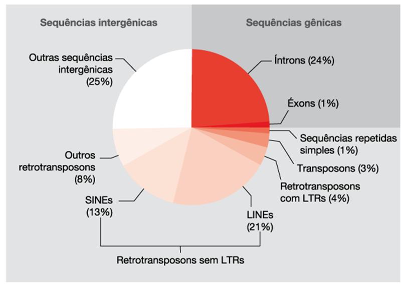 Sequencias genicas e