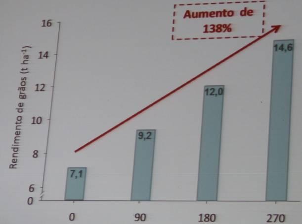 Resposta à adubação nitrogenada Eldorado do Sul