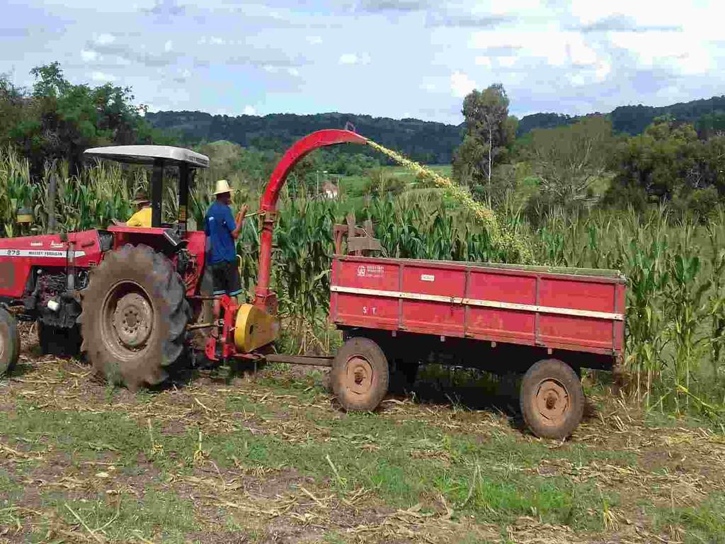 Para altas produções de matéria seca, o consumo de