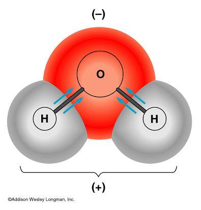 - Água é uma molécula POLAR, pois o oxigênio é mais eletronegativo do que o hidrogênio, e, então, os