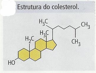 Lípidos da membrana Colesterol Glicolípidos Fosfolípidos Fitoesteróis (membranas de