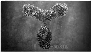 Diagnóstico Bacteriológico Meio de Farrell: