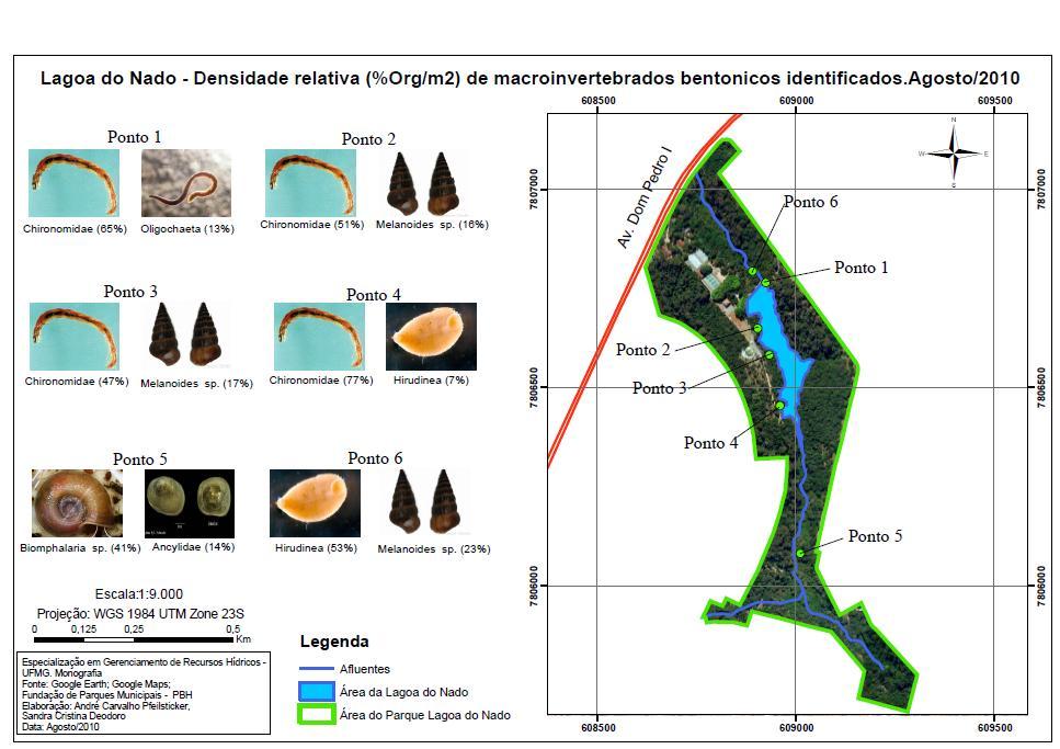 FIGURA 9 Mapa de densidade relativa (% org/m 2 ) de macroinvertebrados bentônicos identificados na lagoa do Nado. Agosto/2010.