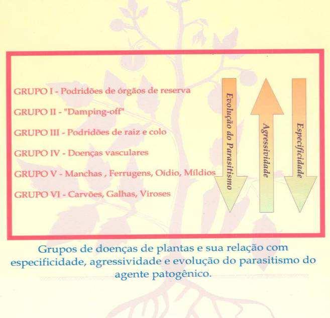 nterferência na translocação de substâncias elaboradas Grupos de doenças, definidos de acordo com o processo fisiológico da planta interferido pelo patógeno (Bedendo, 2011) Referências Bibliográficas