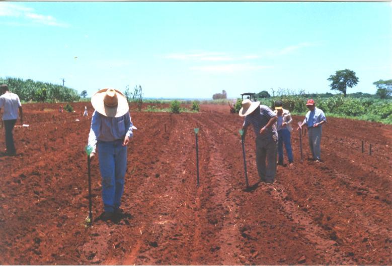 ESTADUAL PAULISTA