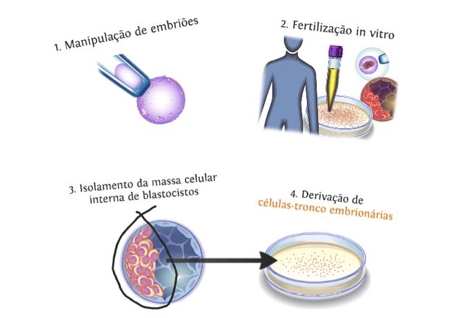 como alternativa de célula-tronco pluripotente Reprogramação Celular