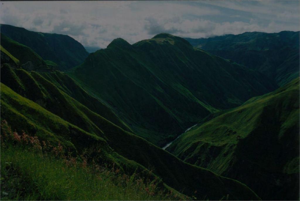 Conclusions: - independent origins of highland groups - dates congruent with Andean uplift - vicariant origin - related to the