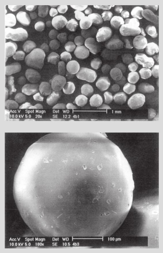 Efeito da adição de polietilenoglicóis nas formulações de microesferas de acetobutirato 233 perfazendo 10% da massa total de polímero na formulação, não pareceu alterar o teor de CBZ, enquanto a